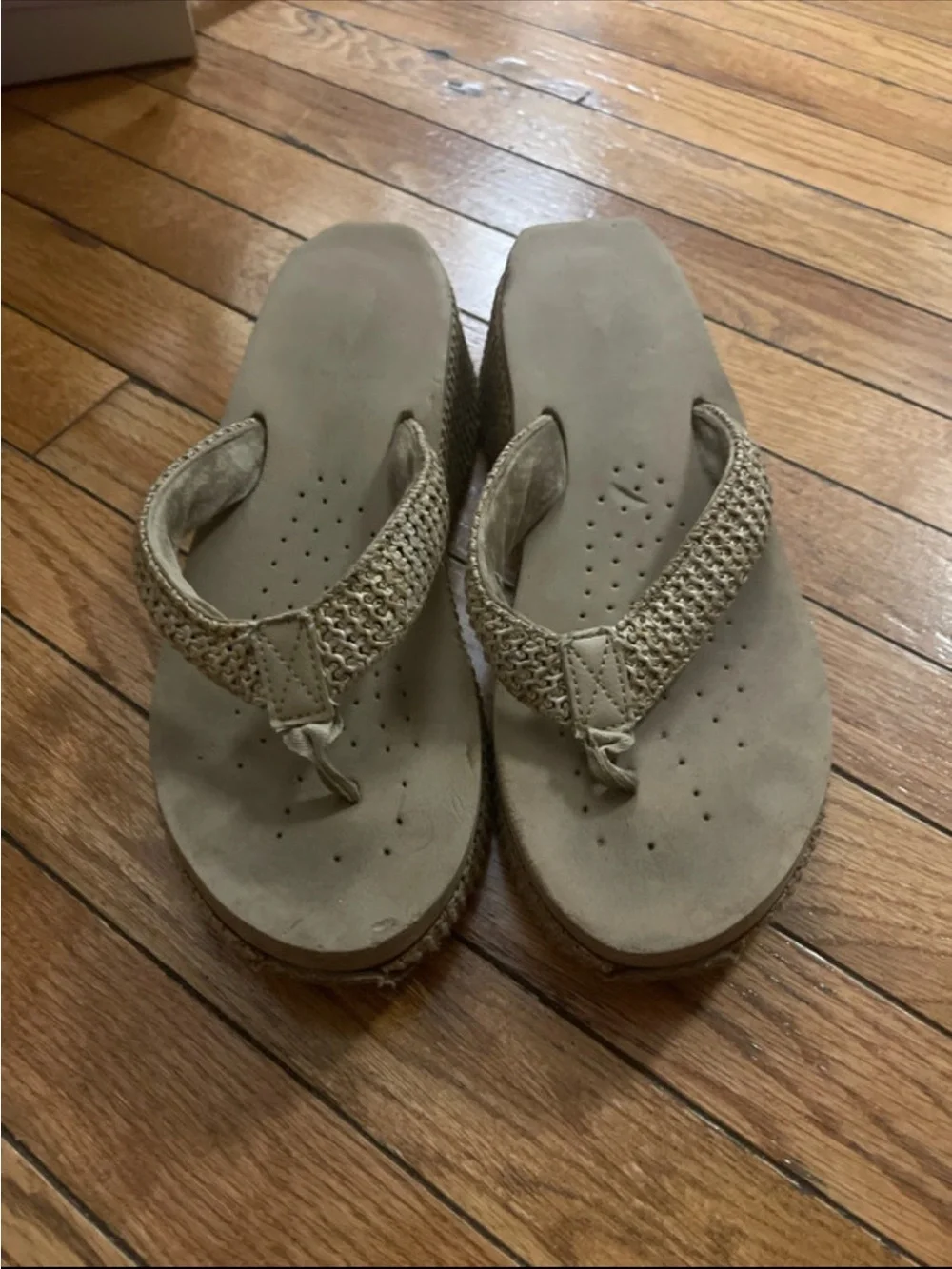 Volatile stylish wedge